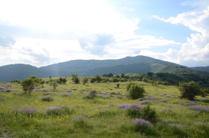 Променливо облачно - Либертас